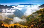 重庆这7个国家级自然保护区 每一处都美到绝无仅有 - 重庆晨网