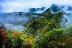 重庆这7个国家级自然保护区 每一处都美到绝无仅有 - 重庆晨网