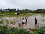 忠县 ：开展2019年水稻插秧机机手培训会 - 农业机械化信息