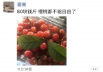 8000亩樱桃熟啦！重庆最全樱桃采摘地图在这里！ - 重庆晨网