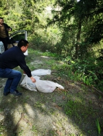 黔江区森林公安局查获一起非法运输野生动物案件 - 林业厅