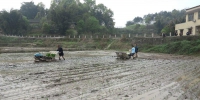 江津区：推广水稻机插秧   节约成本促增收 - 农业机械化信息