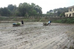 江津区：推广水稻机插秧   节约成本促增收 - 农业机械化信息
