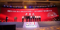 2019中国（重庆）国际美食节暨第十三届中国餐饮产业大会开幕 - 商务之窗