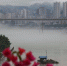 雨后美景 乌江彭水段现平流雾景观如梦如幻 - 重庆新闻网