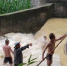 惊险！两男孩被困河中 避雨群众上演生死救援 - 重庆晨网