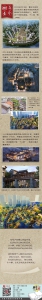 重庆最古老的CBD竟然藏在这里，一图带你看尽千年沧桑 - 重庆晨网
