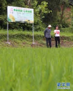 （图片故事）（2）“新农人”魏先曼：“农业很有奔头” - 新华网