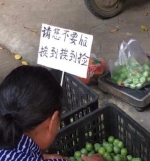 重庆水果商贩重现本土霸气标语再次懵逼外地人 - 重庆晨网