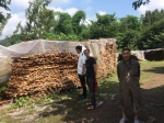 潼南区林业局开展木材检疫执法 - 林业厅