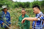 （图片故事）（9）独臂农民的“绿色致富梦” - 新华网