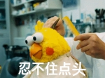 8cf921213026873fcde76451de80d480.gif - 重庆晨网