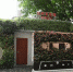 “收音机”公厕亮相重庆墙上栽满绿色植物显美观 - 重庆晨网