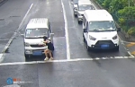 惊险！猝不及防“鬼探头”  女子横穿公路被撞飞 - 重庆晨网