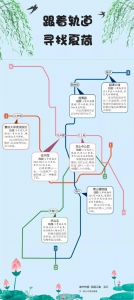 乘着轨道 寻找夏荷 - 重庆晨网