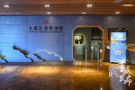 长江奇石、钢琴琴王……重庆竟有这样的博物馆 - 重庆晨网