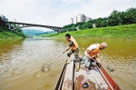 7月15日，巴南区木洞镇五布河入江口段，大雨过后，河面漂浮物增多，两名工人正在船头清漂。首席记者 谢智强 摄 - 重庆新闻网