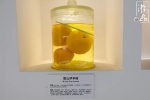 柑橘一共有多少种？很难数清，但三峡橘乡重庆忠县能告诉你答案 - 重庆晨网