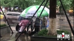 点赞！大雨中八岁男童为他撑起这把爱心伞 - 重庆晨网