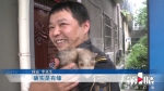 缘分！七夕节别人耍朋友，单身保安大哥邂逅了一只…貂 - 重庆晨网