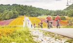 2019重庆·巫溪红池坝国际山地自行车赛比赛现场。 （受访者供图） - 重庆新闻网