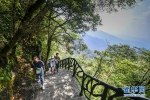 （美丽中国）（2）重庆金佛山：喀斯特地貌显奇观 - 新华网