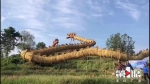 长203.19米高3.11米宽1.68米 这条“巨龙”获吉尼斯世界纪录 - 重庆晨网