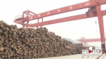 巴南区佛耳岩港二期工程开港试运行 将建中国西部木材贸易港 - 重庆晨网