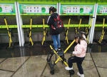 溜娃神器！180辆共享儿童推车进重庆动物园 - 重庆晨网