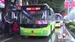 重庆主城首批干线公交正式开行  速度快停站少出行更方便 - 重庆晨网