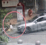 轿车撞上2岁娃，监控画面让人揪心！ - 重庆晨网