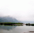 重庆掌故丨江津中坝岛“双石龟”有一个美丽的传说 - 重庆晨网