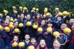 爱心大使和孩子们一起摘柚子(3704099)-20191115214932_副本.jpg - 重庆晨网