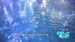 有了这个“西南第一深”的海底世界 在重庆也能玩水肺潜水了！ - 重庆晨网