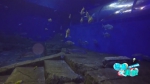 有了这个“西南第一深”的海底世界 在重庆也能玩水肺潜水了！ - 重庆晨网