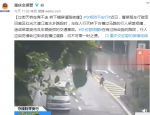 女子横穿马路被撞飞 旁边就是过街天桥！ - 重庆晨网