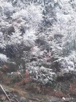 半山彩林半山雪！巫山现奇美雪景 - 重庆晨网