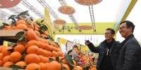（经济）（1）重庆奉节国际橙博会开幕 - 新华网