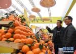 （经济）（1）重庆奉节国际橙博会开幕 - 新华网