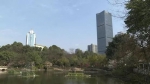 两江新区又多一个公园！预计春节前完工 - 重庆晨网