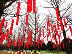 春节7天园博园有好戏 十大巴渝民俗轮番表演 - 重庆晨网