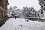 重庆这些小众玩雪地，私藏了超美雪景！ - 重庆晨网