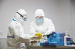 记者探访核酸检测实验室 看新型冠状病毒如何被捕获 - 重庆晨网