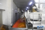 （经济）（7）重庆涪陵：榨菜产业防疫生产两手抓 - 新华网