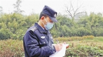 31岁片警走村入户：“我的辖区，我负责排查” - 重庆晨网