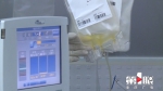 重庆首次启用“血浆疗法” 已有两名危重患者完成输血 - 重庆晨网