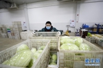（经济）（4）重庆潼南：全力保障蔬菜供应 - 新华网