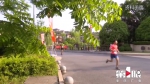 跑友注意了！2020重庆铁山坪森林半程马拉松赛延期 - 重庆晨网