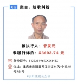 90后男子因5000元借贷纠纷成了“老赖” - 重庆晨网