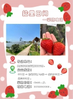 走摘草莓！公交直达，重庆最火摘草莓基地都在这里了 - 重庆晨网